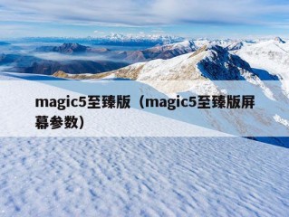 magic5至臻版（magic5至臻版屏幕参数）