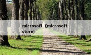 microsoft（microsoft store）