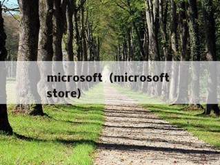 microsoft（microsoft store）