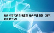 副县长酒驾被当场查获:党内严重警告（酒驾的县委书记）