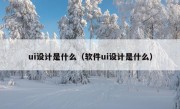 ui设计是什么（软件ui设计是什么）