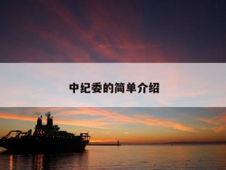 中纪委的简单介绍