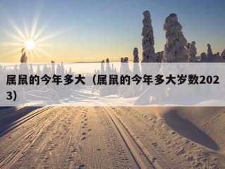 属鼠的今年多大（属鼠的今年多大岁数2023）