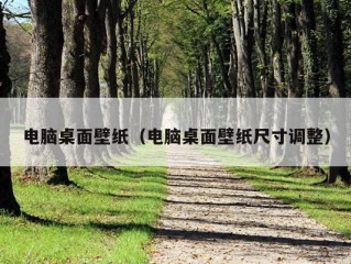 电脑桌面壁纸（电脑桌面壁纸尺寸调整）