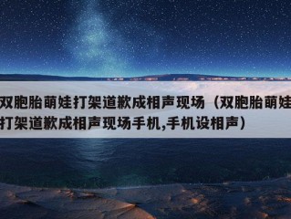 双胞胎萌娃打架道歉成相声现场（双胞胎萌娃打架道歉成相声现场手机,手机设相声）