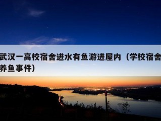 武汉一高校宿舍进水有鱼游进屋内（学校宿舍养鱼事件）