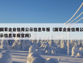 国家企业信用公示信息年报（国家企业信用公示信息年报官网）