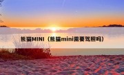 熊猫MINI（熊猫mini需要驾照吗）