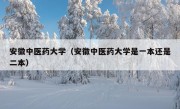 安徽中医药大学（安徽中医药大学是一本还是二本）