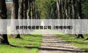 凯伏特电缆卷筒公司（哔哩哔哩）