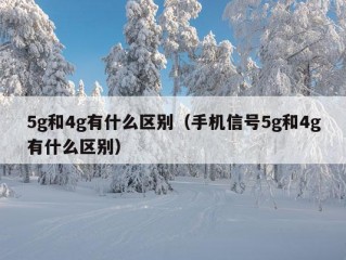 5g和4g有什么区别（手机信号5g和4g有什么区别）