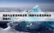 杨颖与谷爱凌同框合照（杨颖与谷爱凌同框合照图片）