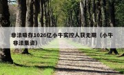 非法吸存1026亿小牛实控人获无期（小牛 非法集资）