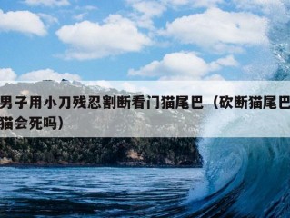 男子用小刀残忍割断看门猫尾巴（砍断猫尾巴猫会死吗）