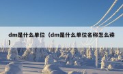 dm是什么单位（dm是什么单位名称怎么读）