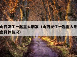 山西发生一起重大刑案（山西发生一起重大刑案具体情况）