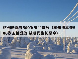 杭州法喜寺500岁玉兰盛放（杭州法喜寺500岁玉兰盛放 从明代生长至今）