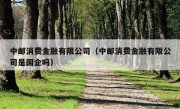 中邮消费金融有限公司（中邮消费金融有限公司是国企吗）