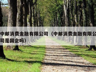 中邮消费金融有限公司（中邮消费金融有限公司是国企吗）