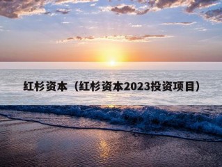 红杉资本（红杉资本2023投资项目）