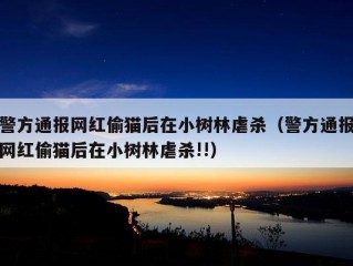 警方通报网红偷猫后在小树林虐杀（警方通报网红偷猫后在小树林虐杀!!）