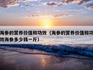 海参的营养价值和功效（海参的营养价值和功效海参多少钱一斤）