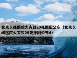 北京长峰医院火灾致29死原因公布（北京长峰医院火灾致29死原因公布4）