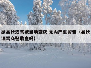 副县长酒驾被当场查获:党内严重警告（县长酒驾交警敢查吗）