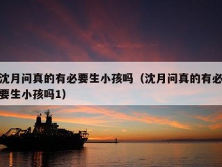 沈月问真的有必要生小孩吗（沈月问真的有必要生小孩吗1）