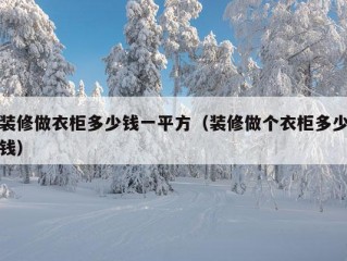 装修做衣柜多少钱一平方（装修做个衣柜多少钱）