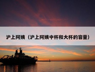 沪上阿姨（沪上阿姨中杯和大杯的容量）