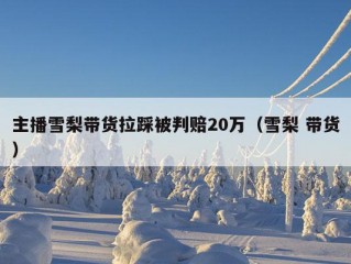 主播雪梨带货拉踩被判赔20万（雪梨 带货）