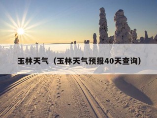 玉林天气（玉林天气预报40天查询）