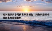 网友说撒贝宁是国家级显眼包（网友说撒贝宁是国家级显眼包m）