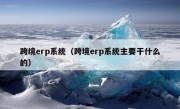 跨境erp系统（跨境erp系统主要干什么的）