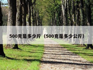 500克是多少斤（500克是多少公斤）