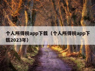 个人所得税app下载（个人所得税app下载2023年）