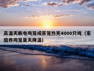 高温天断电鸡笼成蒸笼热死4000只鸡（家庭养鸡笼夏天降温）