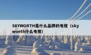 SKYWORTH是什么品牌的电视（skywoeth什么电视）