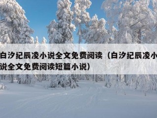 白汐纪辰凌小说全文免费阅读（白汐纪辰凌小说全文免费阅读短篇小说）