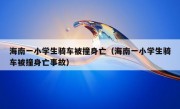 海南一小学生骑车被撞身亡（海南一小学生骑车被撞身亡事故）