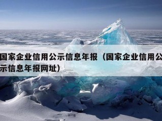 国家企业信用公示信息年报（国家企业信用公示信息年报网址）