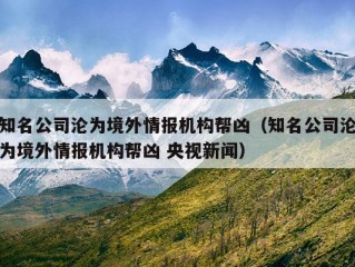 知名公司沦为境外情报机构帮凶（知名公司沦为境外情报机构帮凶 央视新闻）