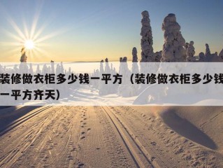 装修做衣柜多少钱一平方（装修做衣柜多少钱一平方齐天）