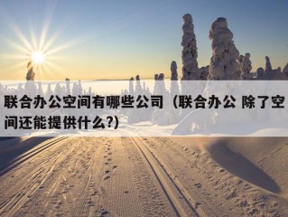 联合办公空间有哪些公司（联合办公 除了空间还能提供什么?）