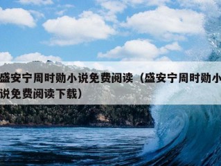 盛安宁周时勋小说免费阅读（盛安宁周时勋小说免费阅读下载）