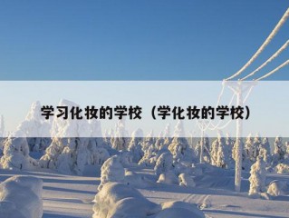 学习化妆的学校（学化妆的学校）