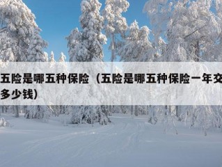 五险是哪五种保险（五险是哪五种保险一年交多少钱）