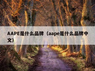 AAPE是什么品牌（aape是什么品牌中文）