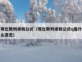 等比数列求和公式（等比数列求和公式q是什么意思）